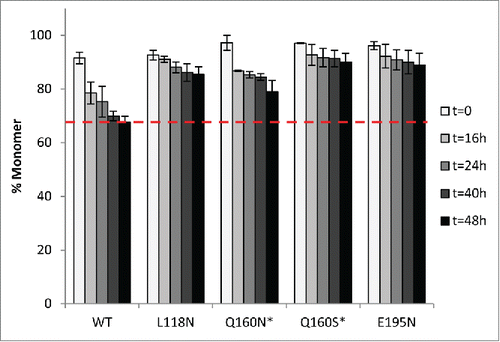Figure 4. Stability comparison of WT bevacizumab and variants by SEC-HPLC. Monomer loss for WT and hyperglycosylated variants (50 mg/mL in histidine buffer, pH 6.0) was measured at various time points upon heat stress at 52°C for 48 h. Data are the mean ± SD. (n=3 experiments with 3 different protein batches * n=2 experiments with 2 different protein batches).
