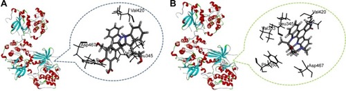 Figure 3 Docking investigation of BHIMHA and staurosporine toward PKCα (PDB: 3IW4).