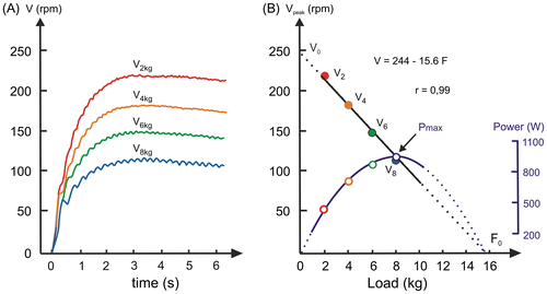 Figure 12. In A, time–frequency curves during all-out sprints against different loads on a Monark 864 cycle ergometer; in B, relationship between load and peak frequency (Vpeak).
