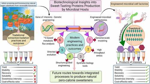 Figure 4. Biotechnological insights into sweet-tasting proteins production by microbial hosts. A comparative overview of traditional extraction/isolation processes and future routes toward integrated processes to extract and produce natural zero-calorie sweeteners with better taste and quality. Created with BioRender.com and extracted under premium membership.