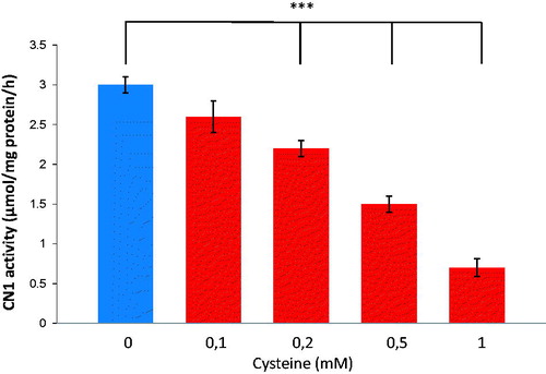 Figure 1. Dose-dependent effect of cysteine on recombinant CN1 activity. Levels of 0.2 mM cysteine and higher, resulted in significantly reduced CN1 activity (n = 8, p < .005).