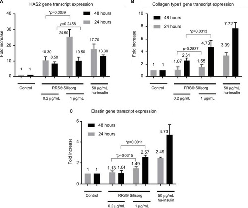 Figure 3 Effect of fibroblast treatment with RRS® Silisorg on the gene expression of hyaluronan synthase II, collagen type I and elastin. Evaluation of (A) hyaluronan synthase II, (B) collagen type I and (C) elastin transcript expression of human fibroblasts cultured in vitro in the presence of two concentrations (0.2 and 1 mg/mL) of RRS® Silisorg. Quantification was performed by qPCR at 24 (gray color) and 48 (black color) hours posttreatment. Results are expressed as a fold increase of the gene transcript expression against the control condition (without treatment). As a positive control, human fibroblasts were activated with 50 µg/mL of hu-insulin. *p≤0.05.