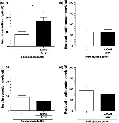 Figure 3. Insulin secretion and residual insulin content of isolated islets by AITC. (a) and (b) Effects of AITC on insulin secretion and residual insulin content of isolated islets from WT mice. Groups of islets were stimulated with 8.0 mM glucose buffer including AITC (0 or 20 nM) for 2 h. Released insulin into the buffer (a) and remained insulin in the islets (b) were measured. Values are expressed as means ± SE. n = 7–12. *p < 0.05 (unpaired t test). (c) and (d) Effects of AITC on insulin secretion and residual insulin content of isolated islets from TRPV1 KO mice. Values are expressed as means ± SE. n = 10–12. There is no significant difference between the groups.