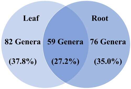 Figure 5. Endophytic fungi isolated from the leaf and root of the host plant. A total of 217 genera were identified: 82 in the leaf, 76 in the root, and 59 in both organ tissues. Genera found in the tissue of both organs likely represent opportunistic infections.