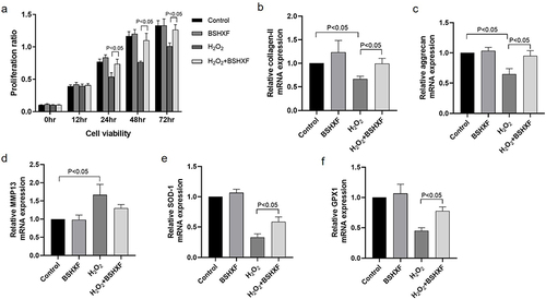 Figure 4 Cellular viability and the mRNA expression of type II collagen, aggrecan, MMP13, SOD-1, GPX1 in cultured nucleus pulposus cells in vitro. (a) Cell viability of nucleus pulposus cells when treated with BSHXF containing serum and/or H2O2 after 12, 24, 48 and 72 hours. (b) Expression of type II collagen mRNA in 4 groups. (c) Expression of aggrecan mRNA in 4 groups. (d) Expression of MMP13 mRNA in 4 groups. (e) Expression of SOD-1 mRNA in 4 groups. (f) Expression of GPX1 mRNA in 4 groups.