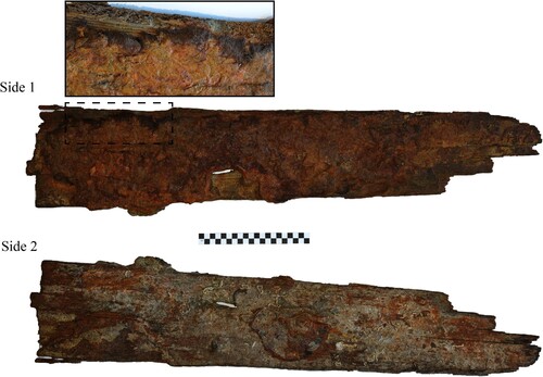 Figure 26. The recovered section of outer sheathing. Side 1 is the inside, revealing the layer of tar and hair and side 2 is the outside showing concretion from the iron nail fastenings. The scale is 20 cm (photo by Daniel Pascoe).