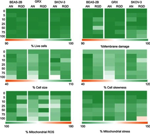 Figure S3 Representation of high content image analysis for (A) cell viability, (B) membrane damage, (C–D) cell morphology (cell size and skewness) and (E–F) mitochondrial ROS formation and stress levels for BEAS-2B, GRX and SKOV-3 cells labeled with increasing concentrations of anionic (AN) and cRGD-MLs for 24 h via color-coded heat maps. Data are presented as mean ± SD vs control. Acquired data were analyzed using two-way ANOVA. No significance difference was found after incubating the cells with either anionic or RGD-MLs.