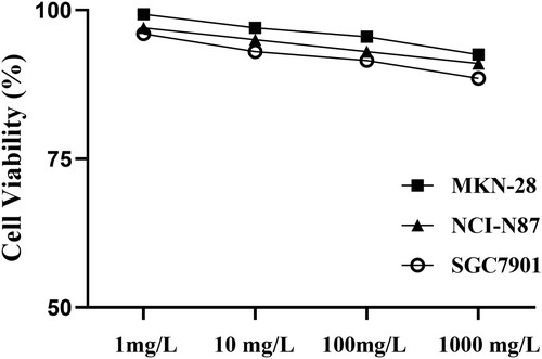 Figure 2. Growth inhibitory effects of trastuzumab alone in gastric cancer lines. The in vitro MTT assay after 1 d of exposure to trastuzumab at various concentrations (1 mg/l, 10 mg/l, 100 mg/l, and 1000 mg/l).