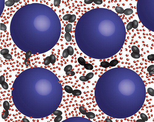 Figure 5. Sketch of proteins in aqueous sugar solutions. Blue spheres represent the protein, and the black double ellipsoids represent sugar molecules, whereas the water molecules are drawn in red and white.
