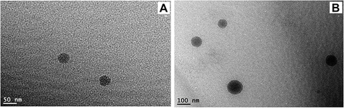 Figure 4 Field Emission Transmission Electron microscope photomicrographs. (A) Plain NE formula; (B) TA-NE formula.