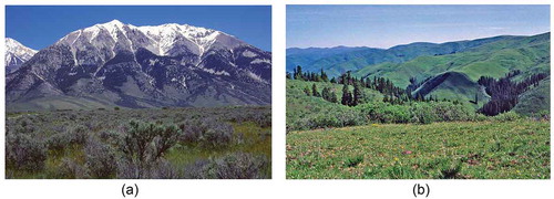 Figure 1. (a) Mid-elevation belt of Pinus contorta, P. ponderosa, Picea engelmannii, Betula papyrifera, and Populus tremuloides between lowland xeric Artemisia tridentata sagebrush-steppe and high-elevation snow and dry open alpine vegetation, Borah Peak, Idaho, USA. This is a possible modern analogue for a'classical' macrorefugium for trees in the mountains of southern Europe during the last glacial maximum (LGM). Photograph: HJB Birks. (b) Local stands of Picea crassifolia along water seepages at 3600 m on the south-eastern Tibetan Plateau, Sichuan, China. This is a possible modern analogue for a 'microrefugium' for trees in Europe during the LGM. Modern pollen percentages of Picea at this site are less than 3%. Photograph: HJB Birks.