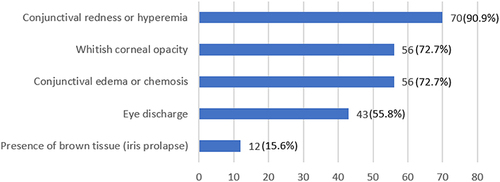 Figure 2 Signs of exposure keratopathy considered by the respondents.