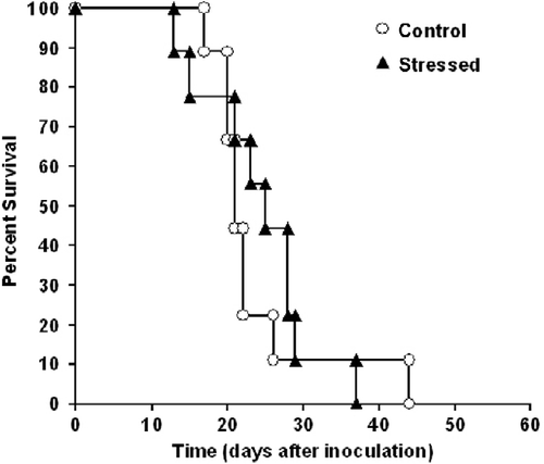Figure 6.  No significant difference was found in survival time between stressed and control mice. Ten-week-old mice were inoculated subcutaneously with 1 × 105 38C-13 B-cells. The next day, 50% of the mice underwent electrical foot-shocks (followed by three reminders). Mice were monitored for survival time (log rank; n = 9 in each group).