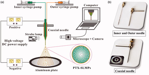 Figure 1. (a) CEHDA set-up consisting of the coaxial needle, Twin syringe pump, and high-voltage DC power supplies with positive and negative electrodes connected with crocodile clip, Aluminium plate, and microscopic lens combined with CCD camera, computer and light source. (b) Inner and outer needles with a coaxial set-up.