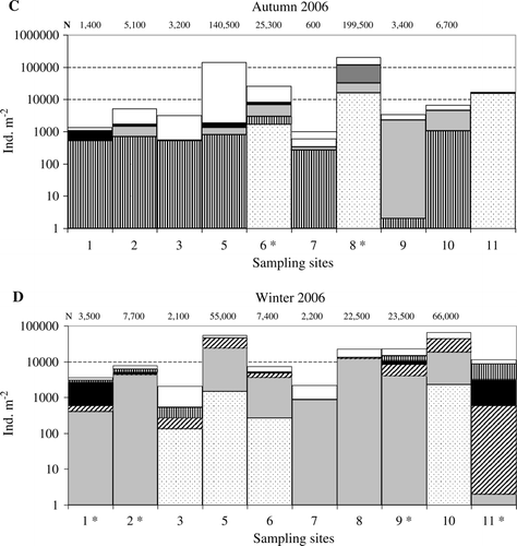 Figure 5  Seasonal distribution and average abundance (ind./m2) of oligochaetes in each sampling locality (1–11) along the Río de la Plata coast. *Samples including settlements of Limnoperna fortunei. Display full size Chaetogaster diastrophus; Display full size Paranais frici; Display full size Nais variabilis; Display full size Limnodrilus hoffmeisteri; Display full sizeTubificinae inmature;Display full sizeEnchytraeidae;Display full sizeOthers.