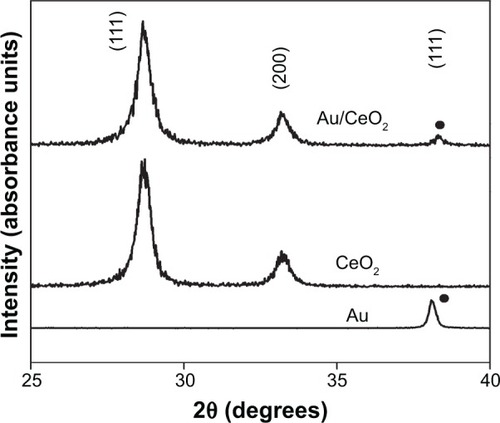 Figure 1 X-ray diffraction pattern for the as-prepared nanoparticles.Note: • indicates Au.Abbreviations: Au, gold; CeO2, cerium oxide.