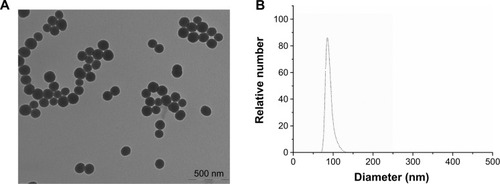 Figure 1 Transmission electron microscopy photomicrograph (magnification 50,000×) (A) and particle size distribution (B) of the pFDNA-SiO2-NPs.Abbreviation: pFDNA-SiO2-NPs, Newcastle disease virus F gene encapsulated in the SiO2 nanoparticles.