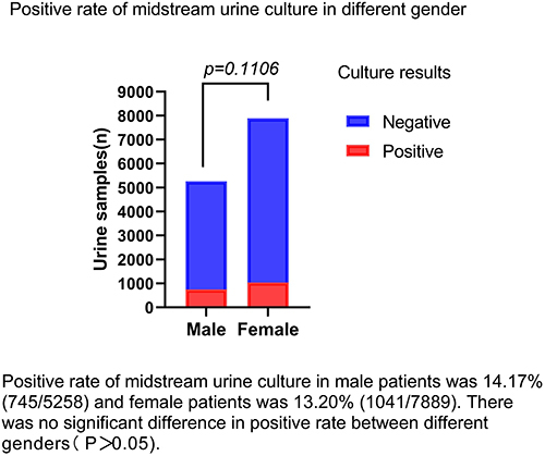Figure 1 Positive rate of midstream urine culture in different gender.