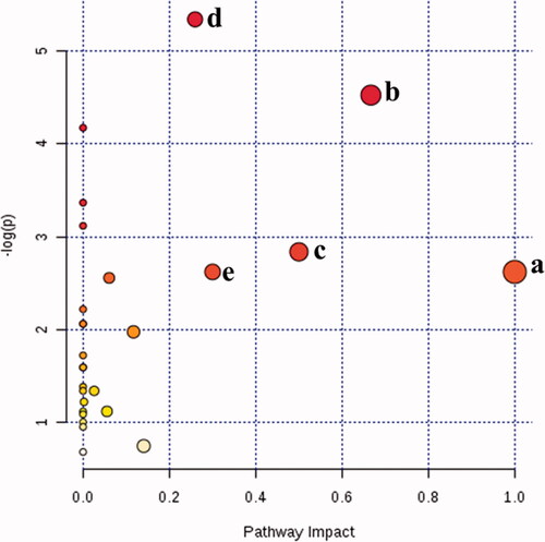 Figure 6. Summary of pathway analysis with Met PA. (a) d-Glutamine and d-glutamate metabolism; (b) valine, leucine and isoleucine biosynthesis; (c) phylalanine, tyrosine and tryptophan biosynthesis; (d) alanine, aspartate and glutamate metabolism; (e) sulfur metabolism.