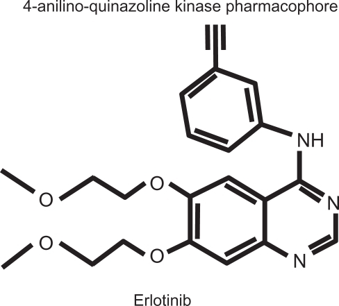 Figure 1 Erlotinib hydrochloride molecule: N-(3-ethynylphenyl)-6,7-bis(2-methoxyethoxy)-4-quinazolinamine; C22H23N3O4.HCl; MW 429.90.