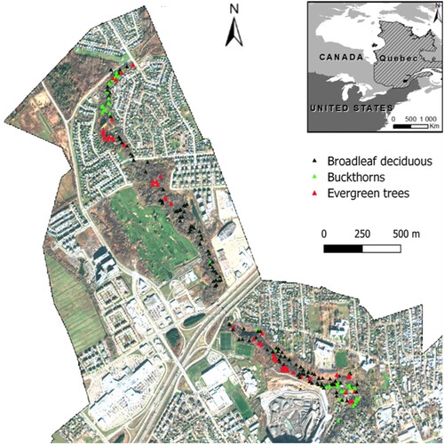 Figure 1. Study area and collected sample locations. The background is a true colour composite (red, green, blue) of a GeoEye-1 satellite image acquired on 5 November 2020.