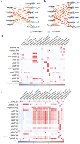 Figure 5. Co-occurrence patterns between disease-severity-related ARGs and microbial species in respiratory tract and gut.