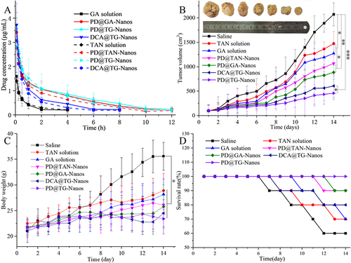 Figure 7 (A) Mean plasma concentration vs time curves of various formulations after I.V. administration at 15 mg/kg. Data are expressed as the mean±s.d. (n=5). (B) Tumor growth inhibition curves (n=18), *P<0.05, **P<0.01, ***P<0.001. (C) Body weights of mice bearing H22 tumors after different treatments for 14 days (n=18), *P<0.05. (D) The curve of mice survival for 14 days.