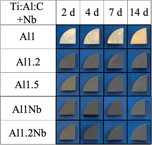 Figure 2. Magnified images of Ti2AlC and Nb-doped Ti2AlC samples with various Al molar ratios after 2 − 14 d of isothermal oxidation in laboratory air at 800°C.