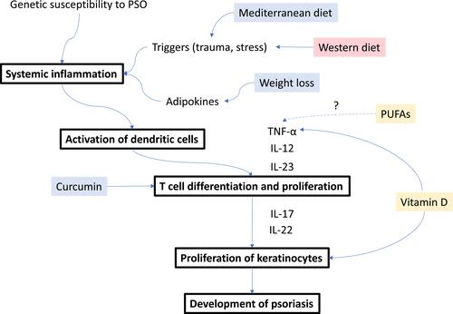 Figure 1 Proposed mechanism of the influence of select diet and nutrients on the pathogenesis of psoriasis. The red-colored diets/supplements are considered to worsen psoriasis outcomes, while the blue diet/supplements improve psoriasis. Yellow supplement are equivocal.