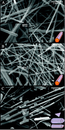 Figure 1. SEM images of synthesised silver nanostructures obtained (A) without stirring, (B) stirring at 260 rpm and (C) stirring at 2000 rpm. Bottom-right schematic of each image represents major nanostructures.