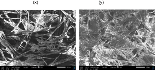 Figure 3. Surface morphological structure of (x) BPL paper packaging and (y) NaOH paper packaging samples at magnifications of 100µm.