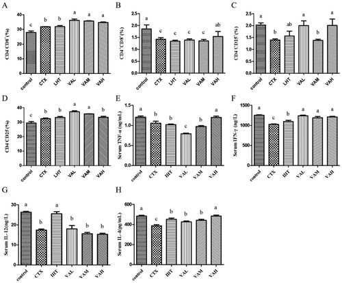 Figure 3. Effect of VA on the CD4- CD8+% (A), CD4 + CD8+% (B), CD4-CD25+% (C), and CD4- CD25-% (D) and the serum levels of TNF-α (E); IFN-γ (F); IL-12 (G); IL-4 (H).