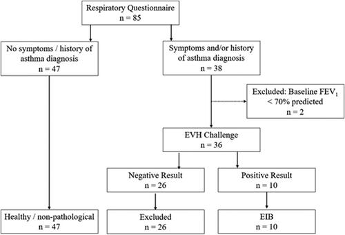 Figure 1. Summary of participant grouping and study protocol.