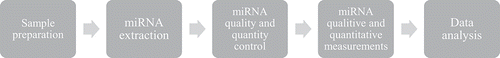 Figure 1. Steps to miRNA profiling
