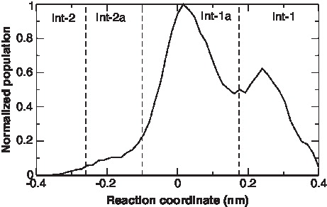 Figure 5.  The relative population of the interfaces sampled by all monomers in the c-subunit ring. The definition of the reaction coordinate used for the helix swirling is given in the Methods section.