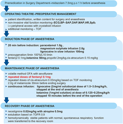 Figure 1 The schedule of general anaesthesia and analgesia. The bold black text is characteristic of the study group, and the bold red text is characteristic of the control group.