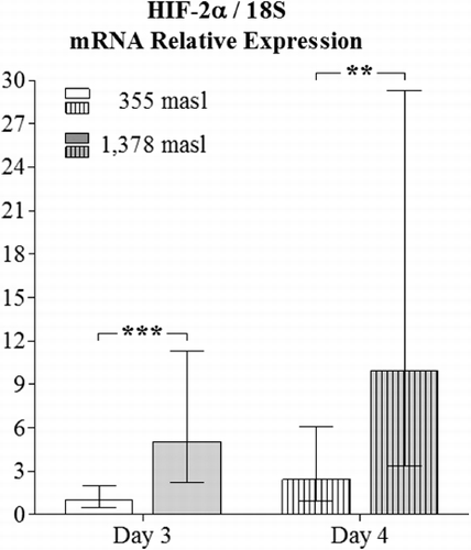 Figure 6. Hypoxia-inducible factor (HIF-2α) mRNA relative expression in yolk sac membrane (YSM) analysis. HIF-2α mRNA levels (shown in the Y axis) of 3 and 4 day-old chicken embryos incubated at 1378 and 355 masl. Expression levels are normalized to those of the internal control S18 ribosomal subunit (S18), and determined in every single sample from 15 individuals. Data are presented as mean±95% confidence interval. Statistical differences: **p<0.01; ***p<0.001.
