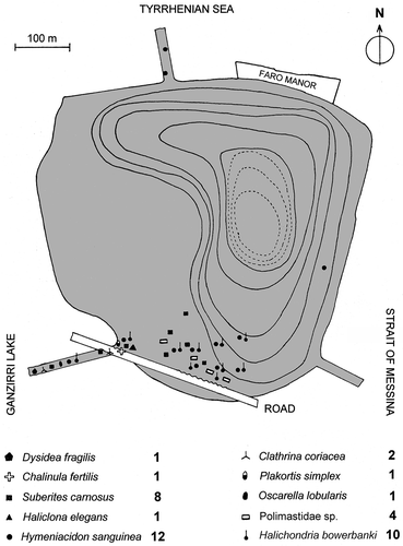 Figure 2. Faro Lake. Sampling sites in the original illustration of 1957–63 (modified from Labate and Arena Citation1964). The 10 species evidenced by symbols are here interpreted as the most abundant/conspicuous in comparison with the lists reported in Tables I–II. The indication of 19 spp. is not reported or better explained in the original paper. We report these historical data as indications without any concrete abundance validity. Isobathic spacing = 3 m.