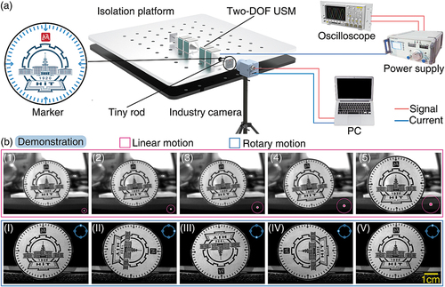 Figure 16. Demonstration of two-DOF motions. (a) Experimental setup for two-DOF motion tests. (b) The demonstration of two-DOF motions.