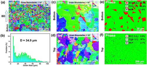 Figure 4. EBSD characterisation of EBPBF samples. (a) EBSD pattern of grain distribution at the bottom of the sample along the BD. (b) Grain size distribution. (c) IPF map of the sample at the bottom. (d) IPF map of the sample at the top. (e) Phase distribution map at the bottom of the sample. (f) Phase distribution map at the top of the sample.