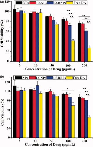 Figure 1. In vitro cytotoxicity of free dopamine and corresponding concentrations of dopamine-loaded NPs, Lf-NPs, and Lf-BNPs on 16HBE (a) and SH-SY5Y cells (b). Cells were exposed to different concentrations of free dopamine, NPs, Lf-NPs, and Lf-BNPs for 24 h and cell viability was measured. Values represent the mean ± SD (n = 3). *p < .05; **p < .01 (versus Free dopamine group).