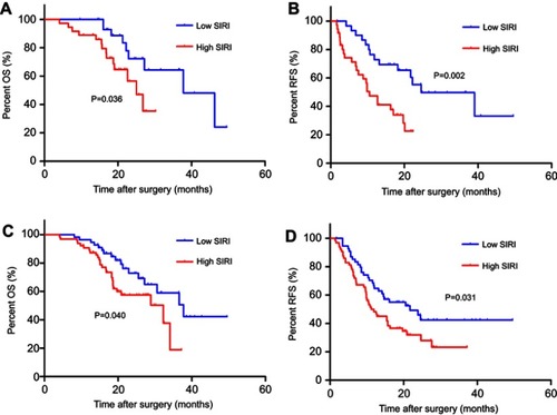 Figure 3 Prognostic significance of SIRI in PDAC patients with normal CA19-9 and early-stage diseases in the validation cohort. Kaplan‒Meier survival curves of OS and RFS stratified by SIRI in normal CA19-9 subgroups (A, B) and early-stage subgroups (C, D).Abbreviations: SIRI, systemic inflammation response index; PDAC, pancreatic ductal adenocarcinoma; CA19-9, carbohydrate antigen 19-9; OS, overall survival; RFS, recurrence-free survival.