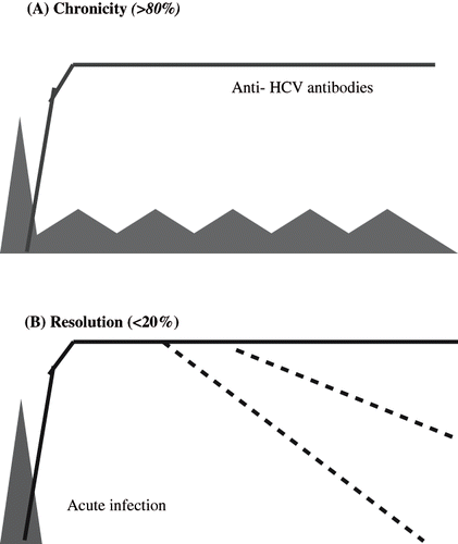 Figure 4. Time course of HCV RNA in patients with (A) evolution to chronic injection, and (B) acute, spontaneously resolving hepatitis C.