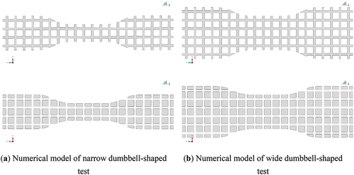 Figure 13. The numerical model of the dumbbell-shaped test.