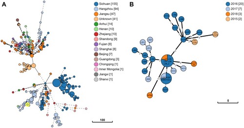 Figure 2 Phylogenetic relationship between K. pneumoniae KP58 and closely related K. pneumoniae strains presently retrieved from BacWGSTdb. Clonal relationships between different isolates are depicted by the line length connecting each circle. The numbers given in square brackets indicate the number of isolates from each country. (A) The minimum spanning tree of all ST11 K. pneumoniae strains recovered from China. (B) The minimum spanning tree of the closely related strains with K. pneumoniae KP58 (differing by <10 cgMLST loci).