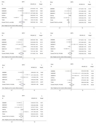 Figure 3 Forest plot for the correlations of sirtuins (SIRT1–7) and recurrence-free survival in patients with NSCLC by pooling the results of the datasets from TCGA and Kaplan–Meier plotter databases.Abbreviations: TCGA, The Cancer Genome Atlas; NSCLC, non–small cell lung cancer; SIRT1, sirtuin 1; SIRT2, sirtuin 2; SIRT3, sirtuin 3; SIRT4, sirtuin 4; SIRT5, sirtuin 5; SIRT6, sirtuin 6; SIRT7, sirtuin 7.
