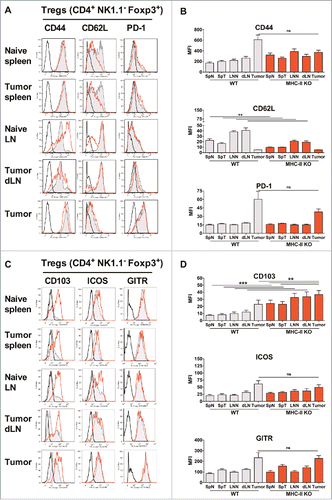 Figure 5. Similar activation status of Tregs in WT and MHC-II KO mice. WT C57BL/6J and MHC-II KO mice were injected on day 0 with 6 × 105 TC-1 cells, and cell suspensions were prepared after 25 days from spleens, dLNs and tumors and analyzed by flow cytometry. The spleens and lymph nodes from naive mice were used as controls. The surface expression of CD44, CD62 L, PD-1, CD103, ICOS and GITR on Tregs from the indicated organs is shown in A and C. Filled grey lines represent WT mice, open red lines represent MHC-II KO mice, while labeling with isotype controls is represented by black lines. Data from one representative experiment are shown. The MFI ± SEM shown in B and D represents cumulative results from 4 independent experiments with n = 7–11 mice per group (WT: grey histograms and MHC-II KO mice: red histograms). ** p < 0.01 and *** p < 0.001 as determined by the Mann-Whitney test.