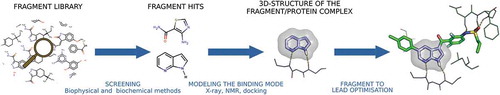 Figure 1. The FBDD process. Fragment to lead optimization is exemplified on vemurafenib, the first marketed drug from FBDD. The fragment 7-azaindole is a non-selective kinase inhibitor, here shown in complex with PKA/PKB (PDB code: 2UVX). Vemurafenib is a potent inhibitor of oncogenic B-RAF kinase activity (PDB code: 3OG7).