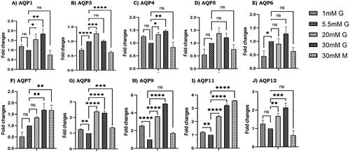 Figure 4. Effect of glucose on aquaporins gene expression. RNA levels in LC540 Leydig cells (in-vitro) treated with different concentrations of glucose (1 mM glucose, 5.5 mM glucose, 20 mM glucose, 30 mM glucose, 30 mM mannitol) were measured by RT-PCR (A–J). All the results were normalized with β-actin. Values represent mean ± SD (n = 3) (*p < 0.05, **p < 0.01, ***p < 0.001 and ****p < 0.0001).