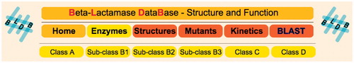 Figure 1. Global architecture of the Beta-Lactamase Database. In addition to the Home page, there are five main sections, dedicated to Enzymes (classified into the four classes A, B, C and D, and further into the three sub-classes of class B), three-dimensional Structures available in the Protein Data Bank, synthetic Mutants and hydrolytic profiles (Kinetics) described in the literature, and a graphical interface for BLAST queries.